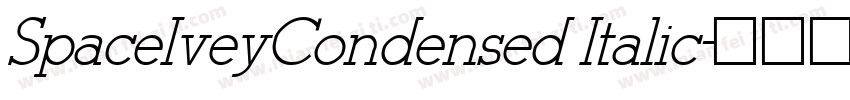 SpaceIveyCondensed Italic字体转换